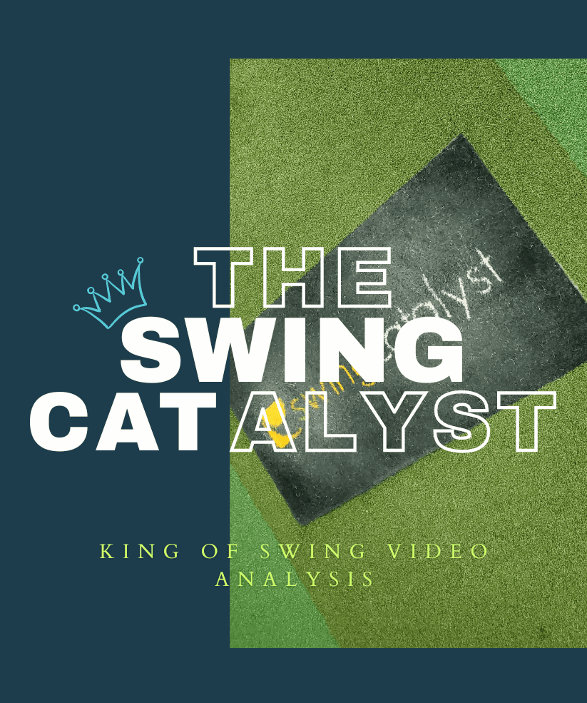 swing-cat-lessons-academy-text-art-link